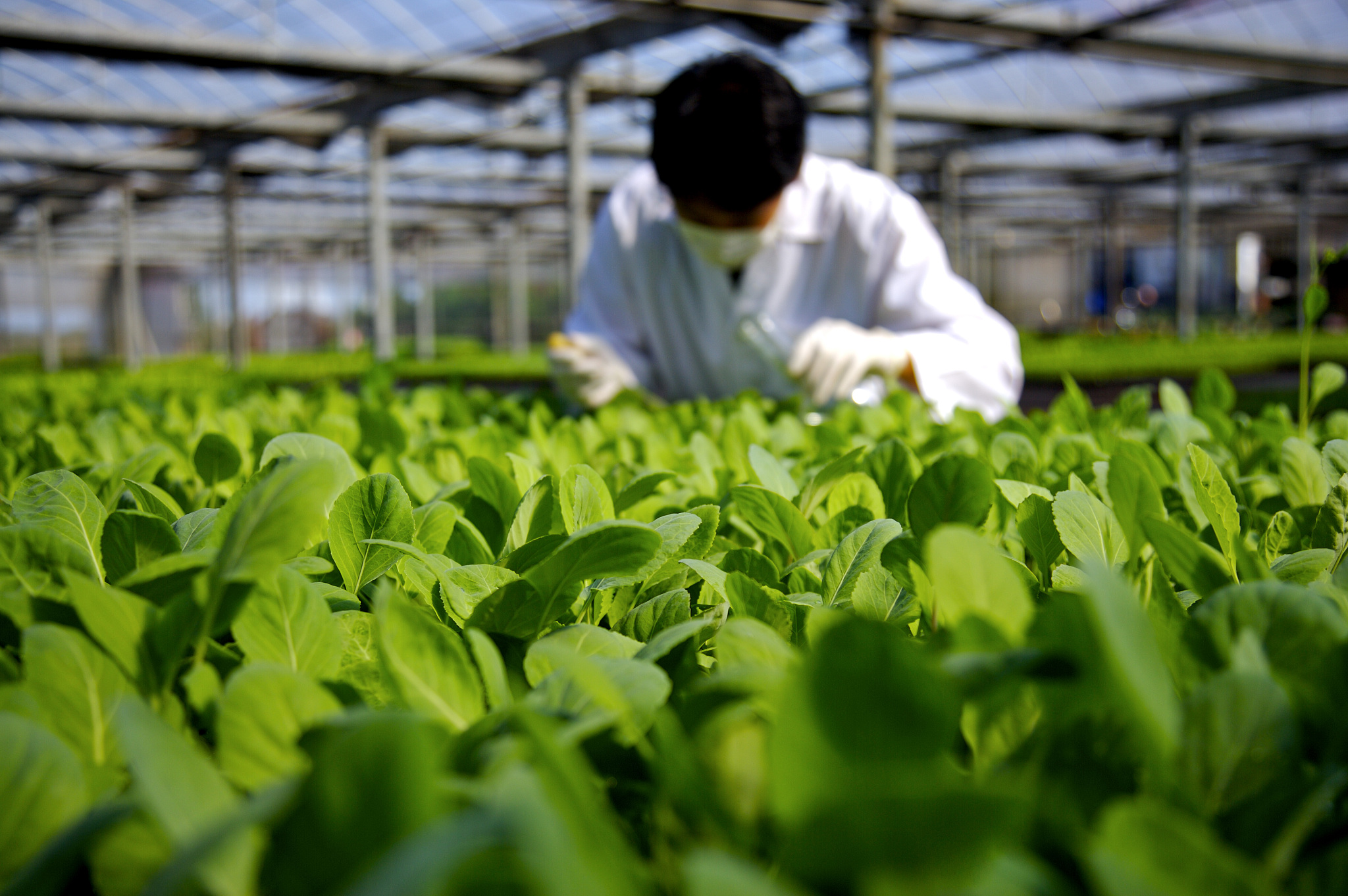 以新质生产力夯实农业农村现代化基础